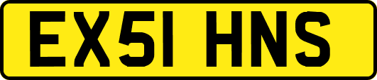 EX51HNS