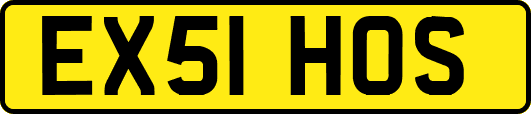 EX51HOS