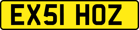 EX51HOZ