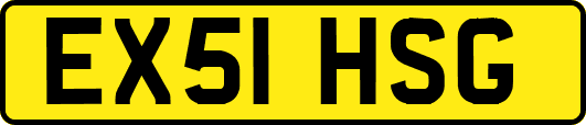 EX51HSG