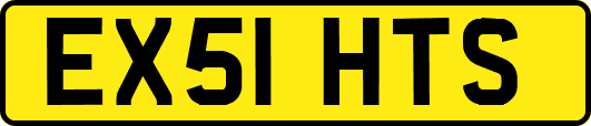 EX51HTS