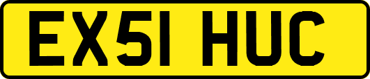 EX51HUC