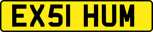EX51HUM