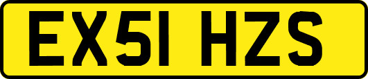 EX51HZS