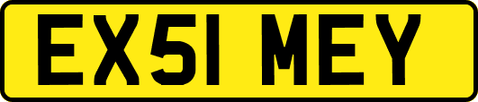 EX51MEY