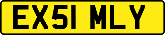 EX51MLY