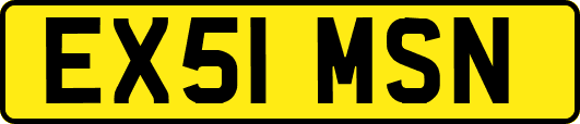 EX51MSN