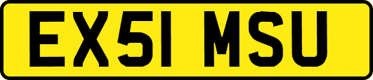 EX51MSU