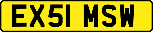 EX51MSW