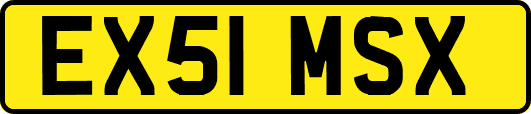 EX51MSX