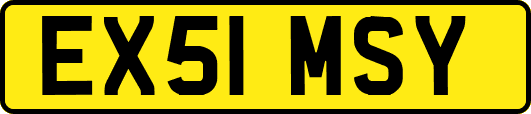 EX51MSY