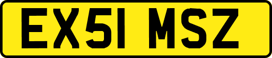 EX51MSZ