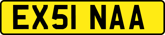 EX51NAA