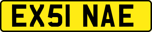 EX51NAE