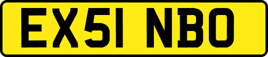 EX51NBO