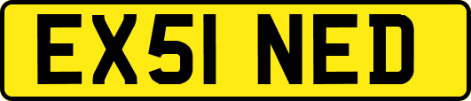 EX51NED