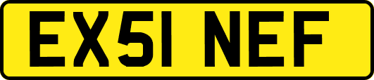 EX51NEF