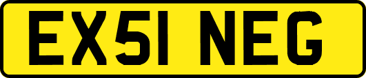 EX51NEG