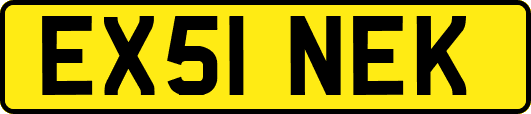 EX51NEK