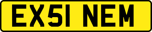 EX51NEM