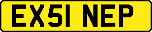 EX51NEP