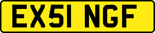 EX51NGF