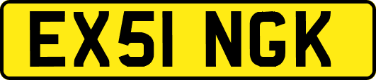 EX51NGK