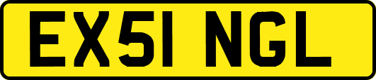 EX51NGL