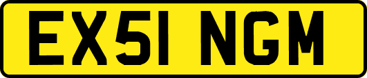 EX51NGM