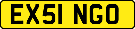 EX51NGO