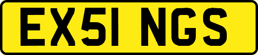 EX51NGS