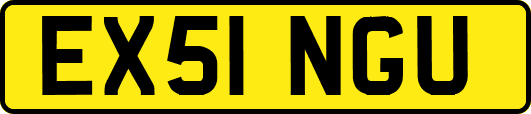 EX51NGU