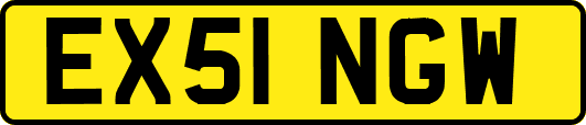 EX51NGW