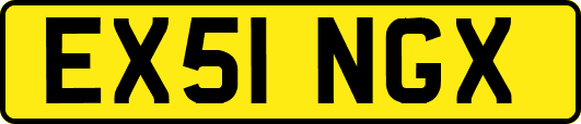 EX51NGX