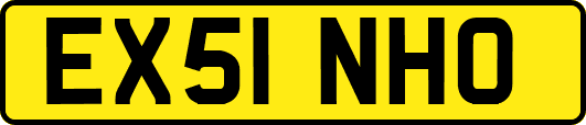 EX51NHO