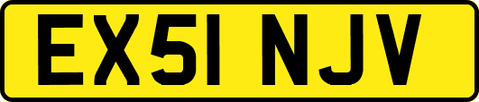 EX51NJV