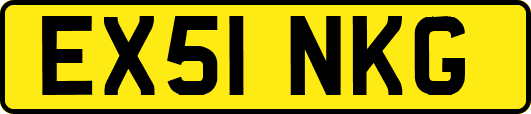 EX51NKG