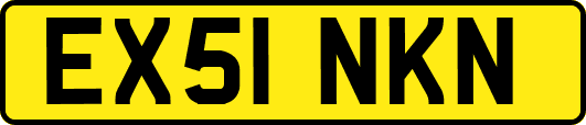 EX51NKN