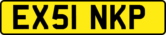 EX51NKP