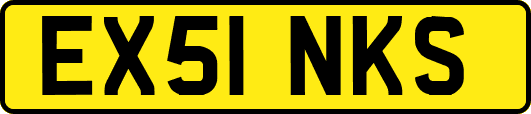 EX51NKS