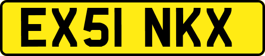 EX51NKX