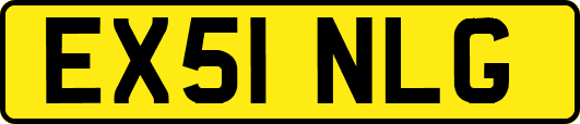 EX51NLG