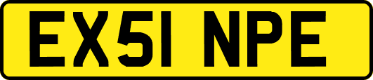 EX51NPE