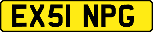 EX51NPG