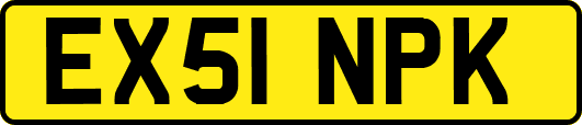 EX51NPK