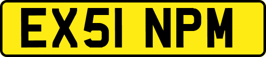 EX51NPM