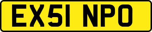 EX51NPO