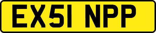 EX51NPP