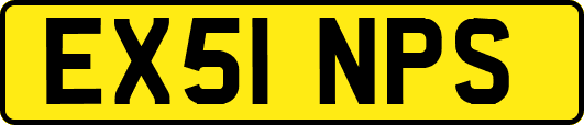 EX51NPS