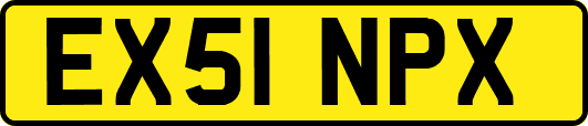 EX51NPX